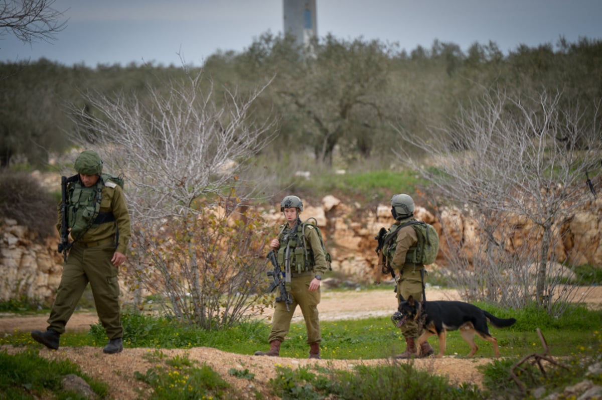 הנרצח בפיגוע הדקירה באריאל: איתמר בן גל, אב לארבעה