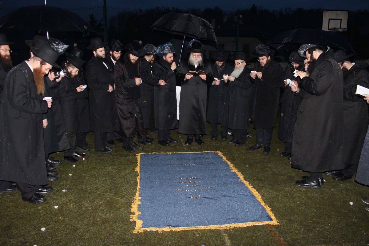 האדמו''ר ממודז'יץ במסע היסטורי בפולין • תיעוד