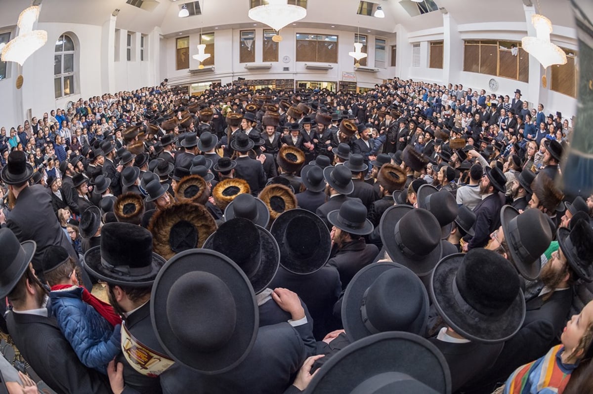 לונדון: הכנסת ס"ת להיכל ביהמ"ד הגדול סאטמר