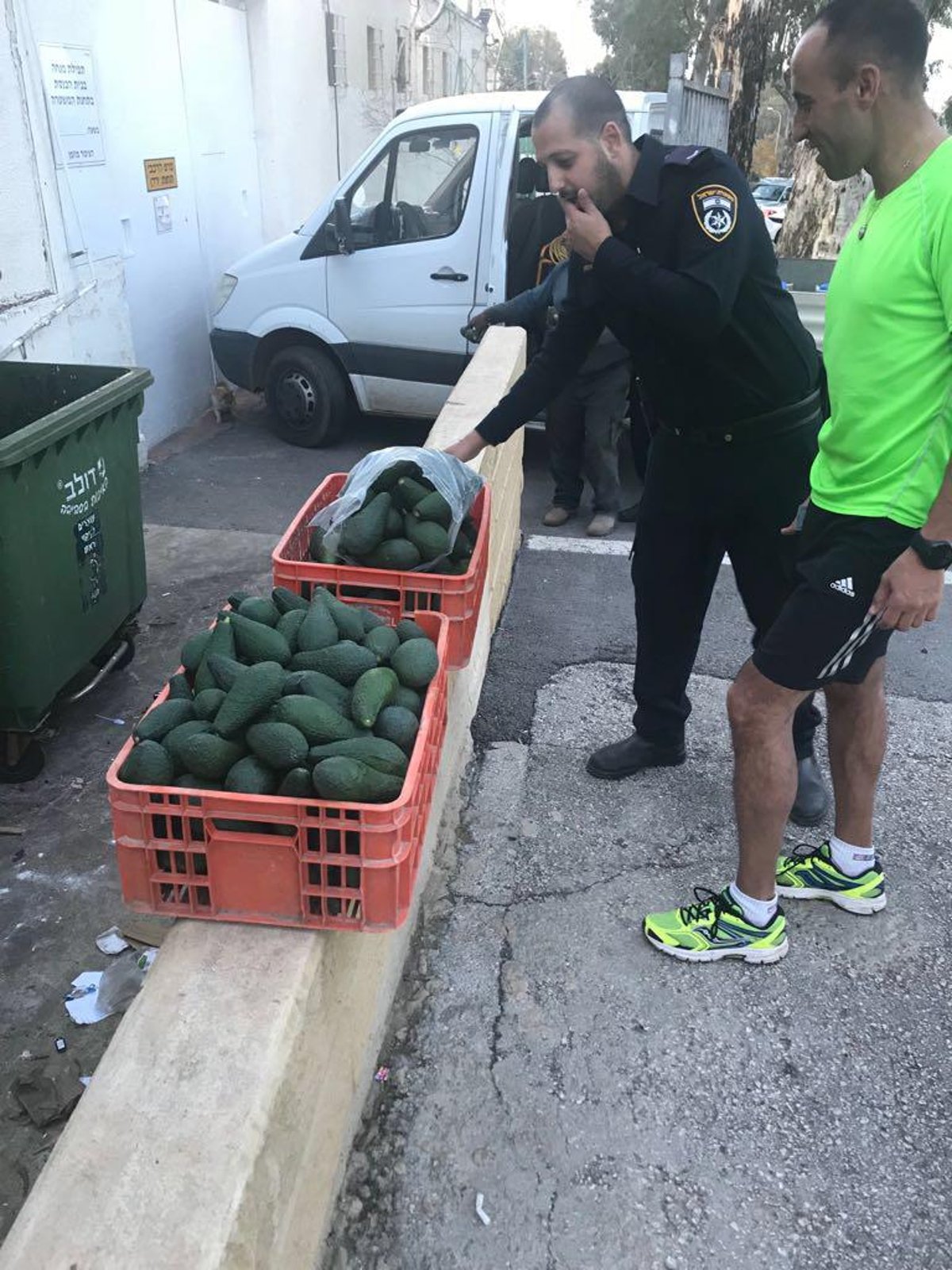 משעשע: גנב 50 ק"ג אבוקדו בשביל... "סלט"