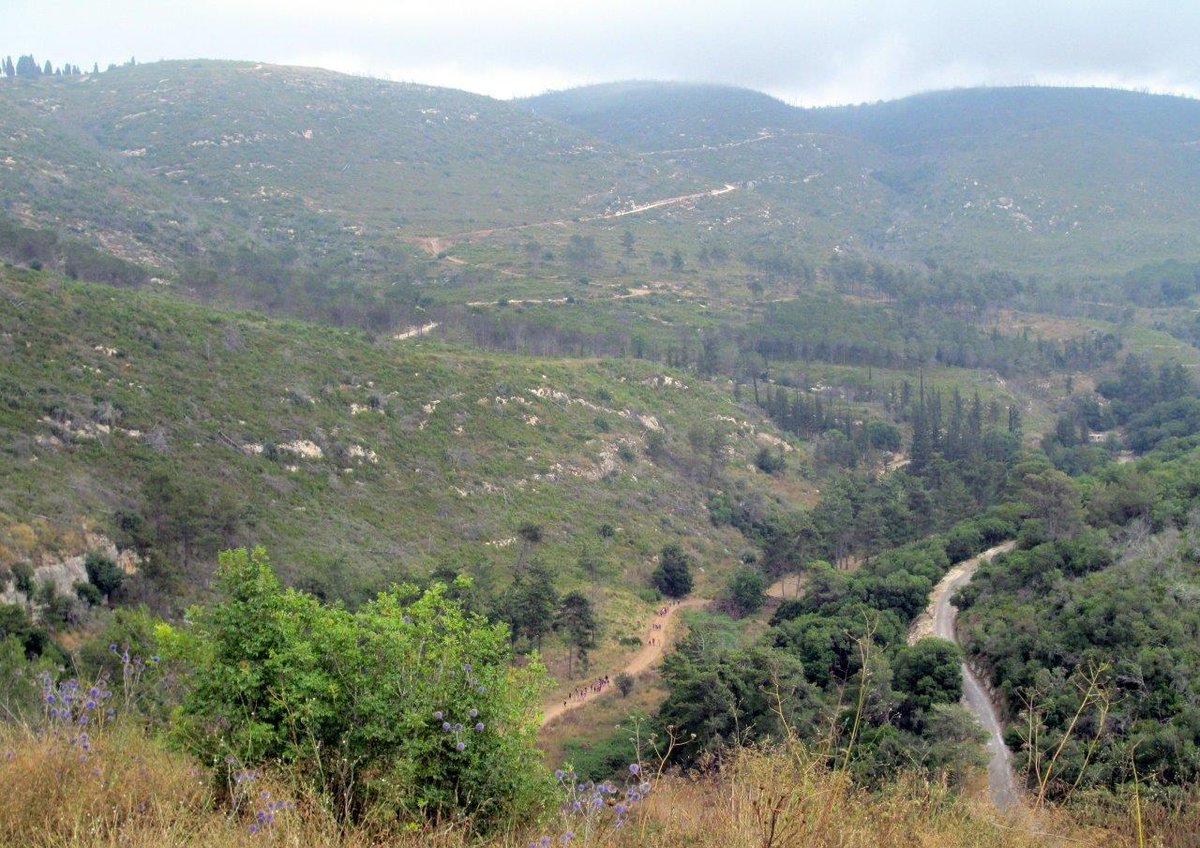 הכרמל, הגלבוע ועמק יזרעאל • תיעוד מרהיב