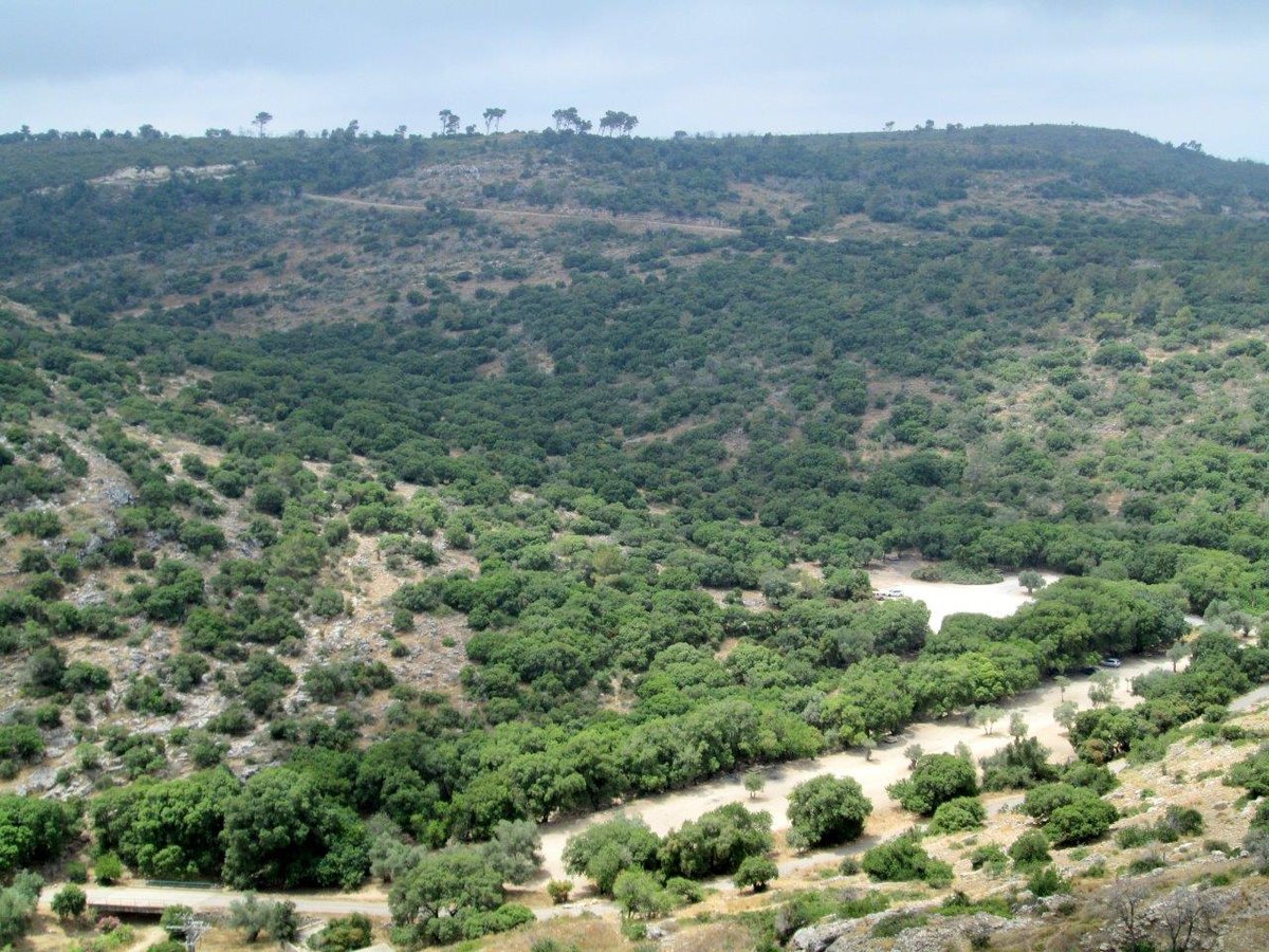 הכרמל, הגלבוע ועמק יזרעאל • תיעוד מרהיב