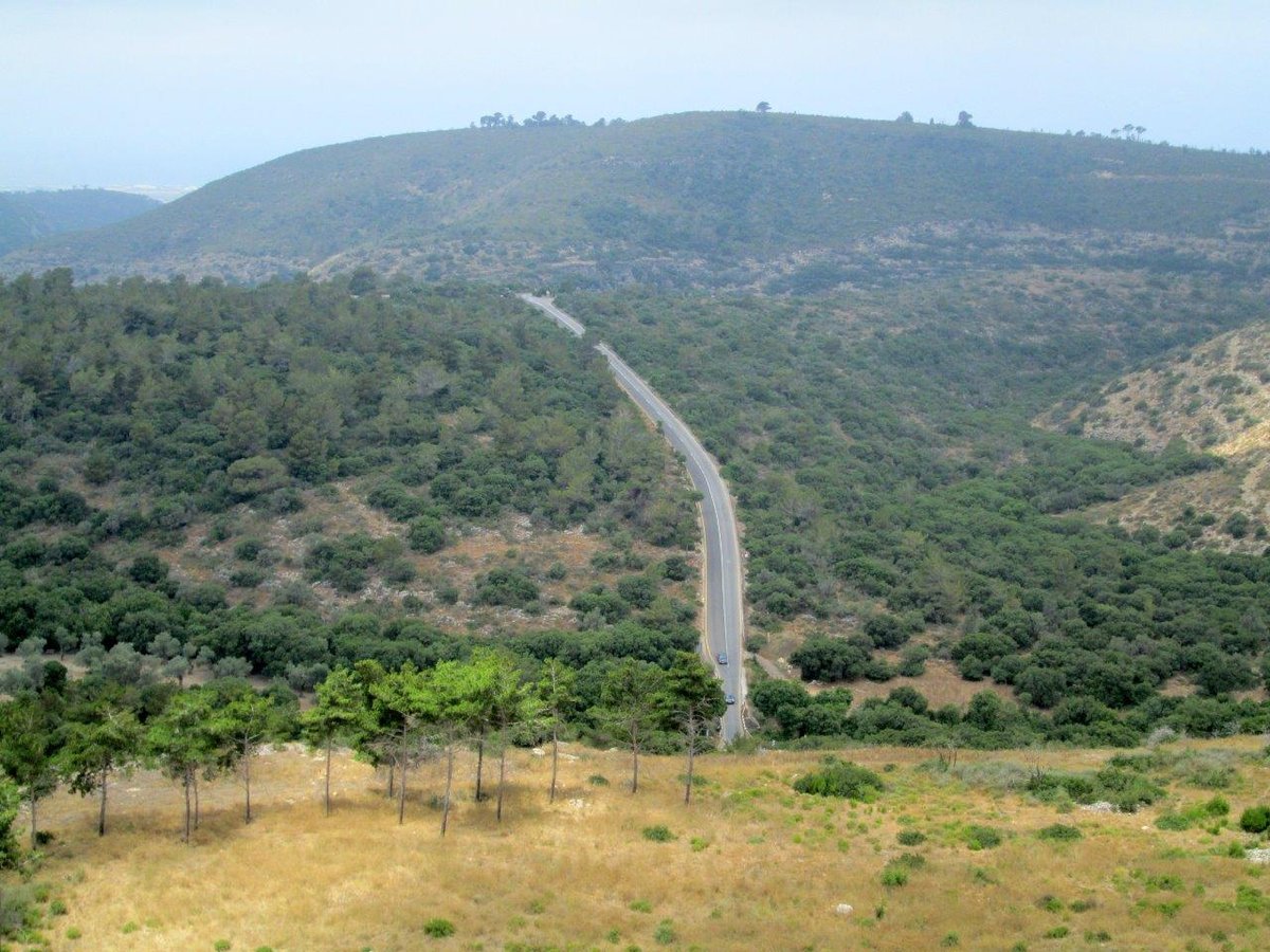 הכרמל, הגלבוע ועמק יזרעאל • תיעוד מרהיב