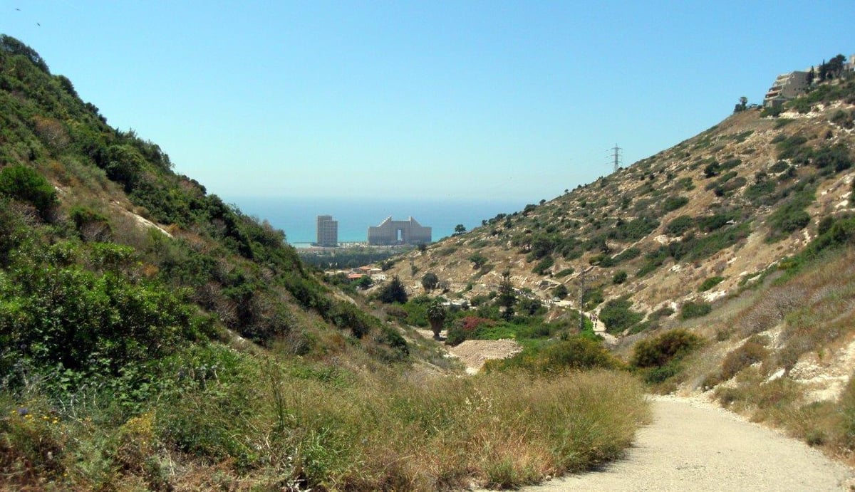 הכרמל, הגלבוע ועמק יזרעאל • תיעוד מרהיב