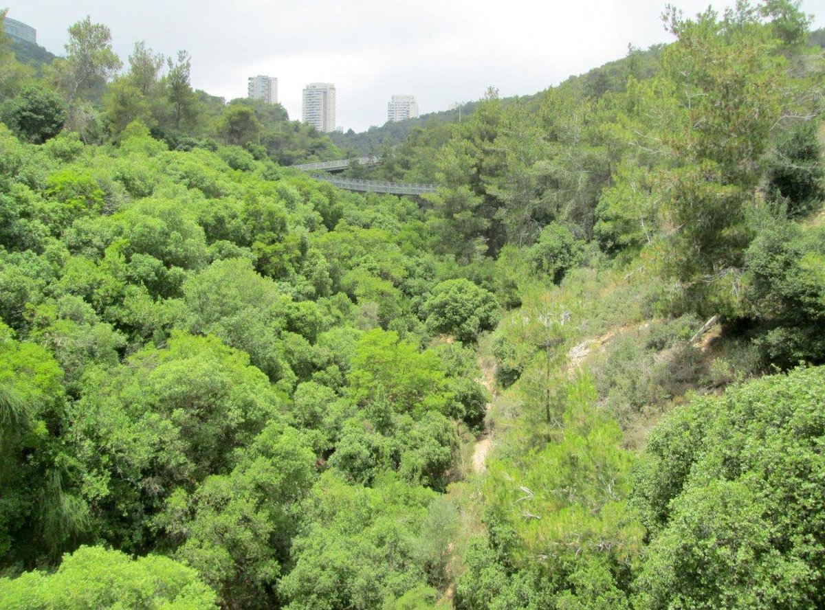 הכרמל, הגלבוע ועמק יזרעאל • תיעוד מרהיב