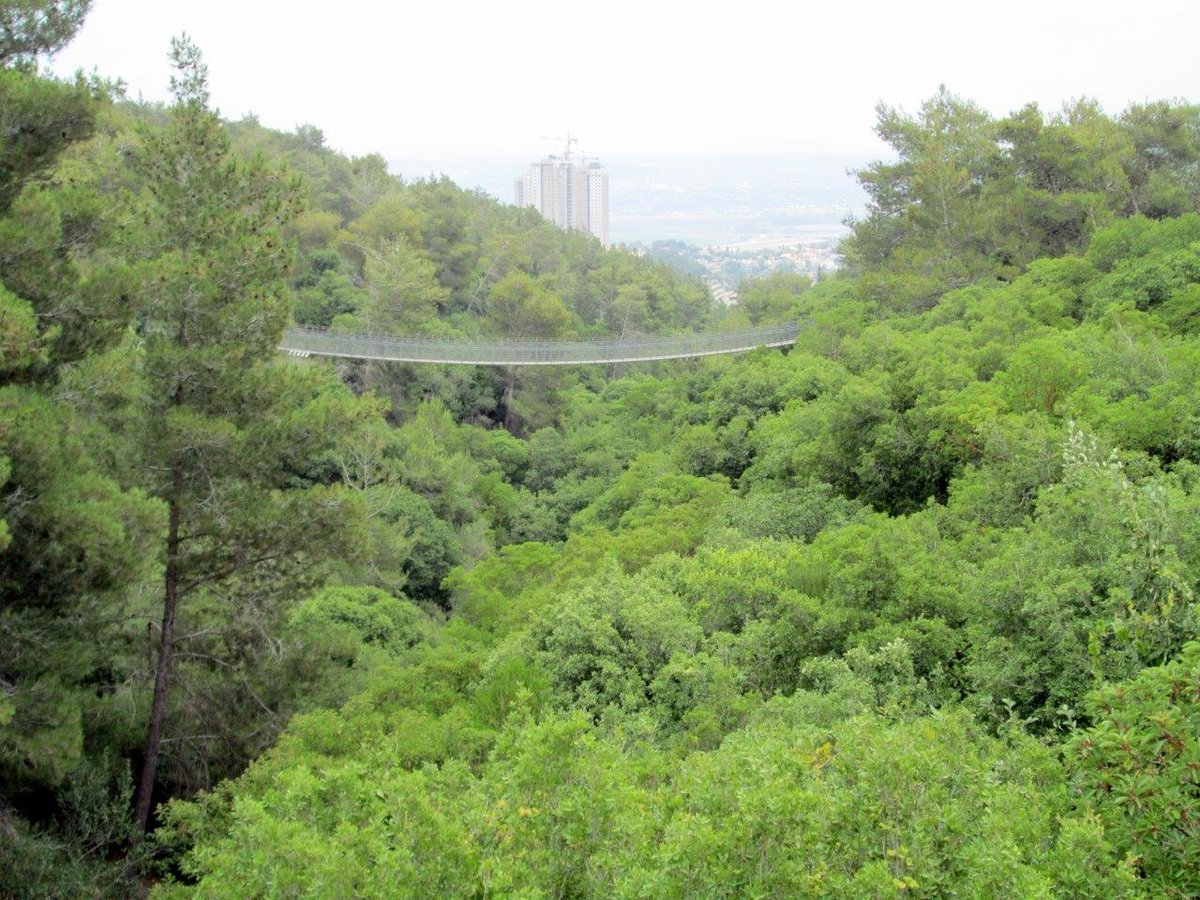 הכרמל, הגלבוע ועמק יזרעאל • תיעוד מרהיב