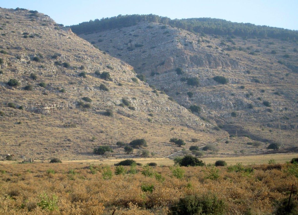 הכרמל, הגלבוע ועמק יזרעאל • תיעוד מרהיב