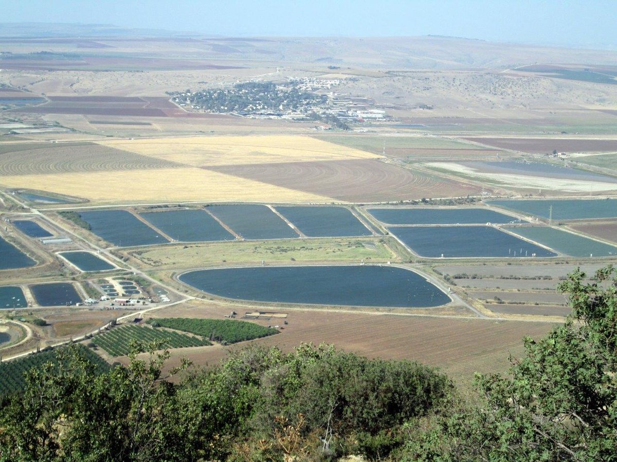 הכרמל, הגלבוע ועמק יזרעאל • תיעוד מרהיב