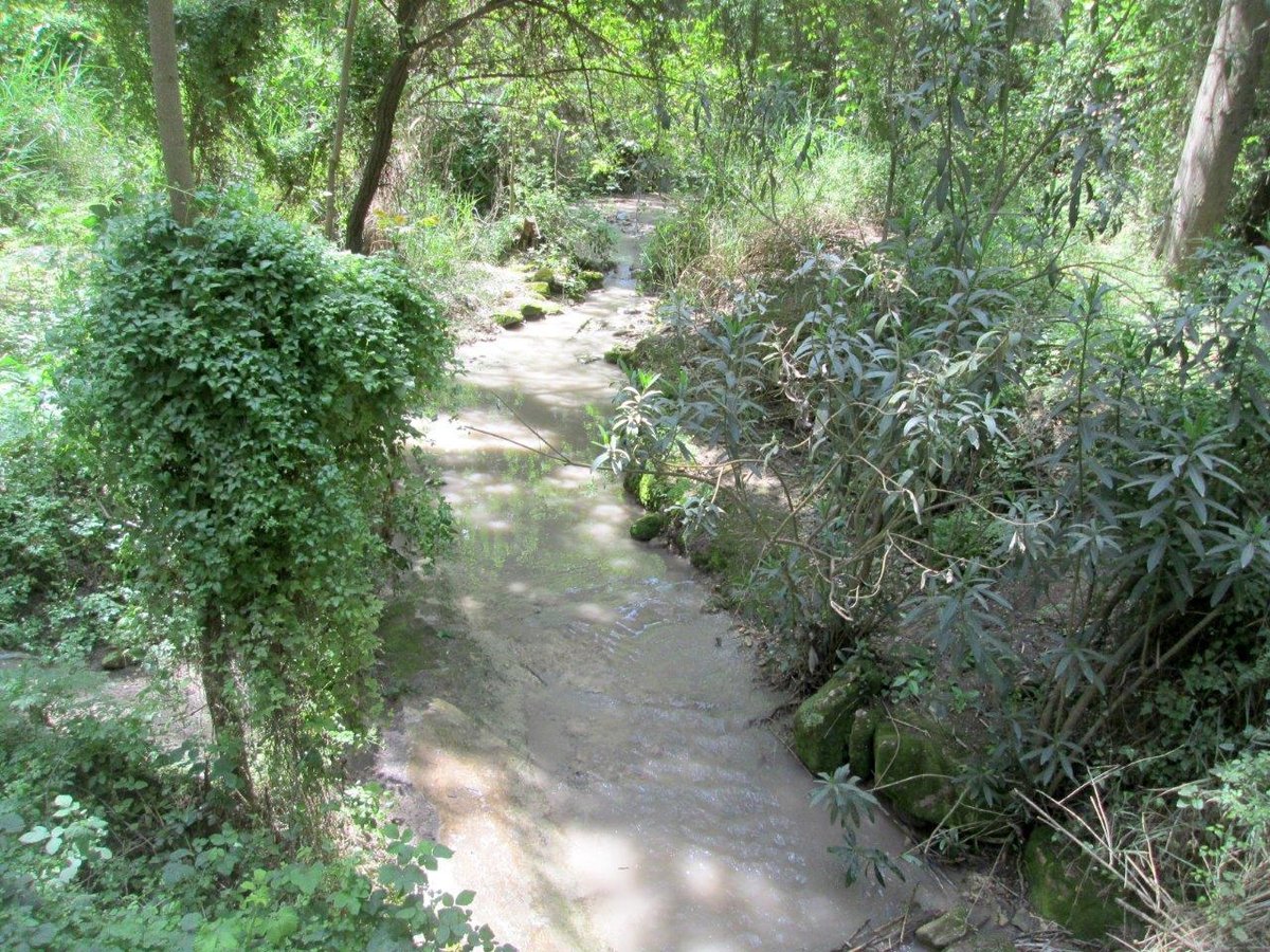 הכרמל, הגלבוע ועמק יזרעאל • תיעוד מרהיב