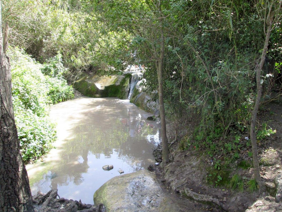 הכרמל, הגלבוע ועמק יזרעאל • תיעוד מרהיב