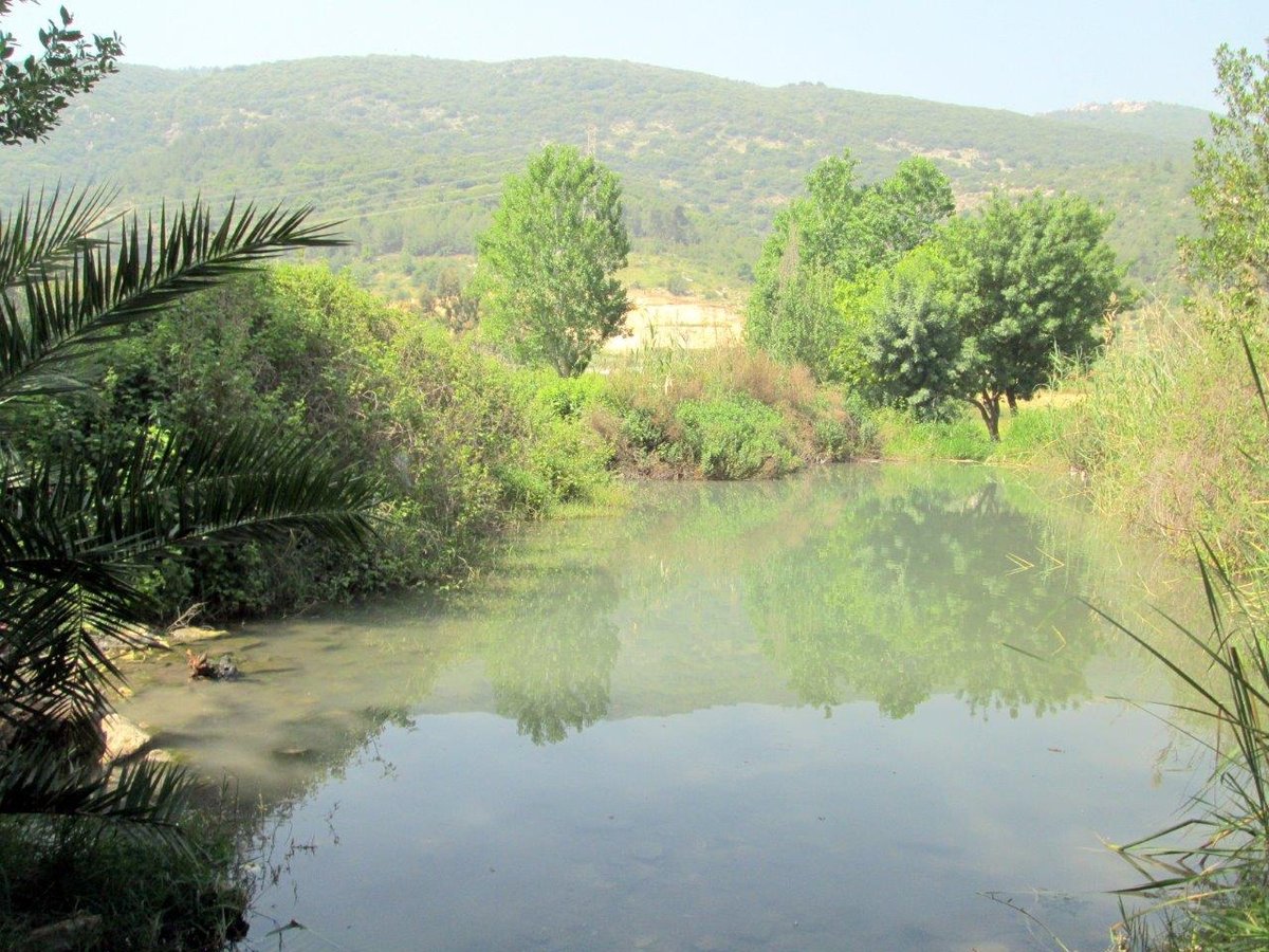 הכרמל, הגלבוע ועמק יזרעאל • תיעוד מרהיב