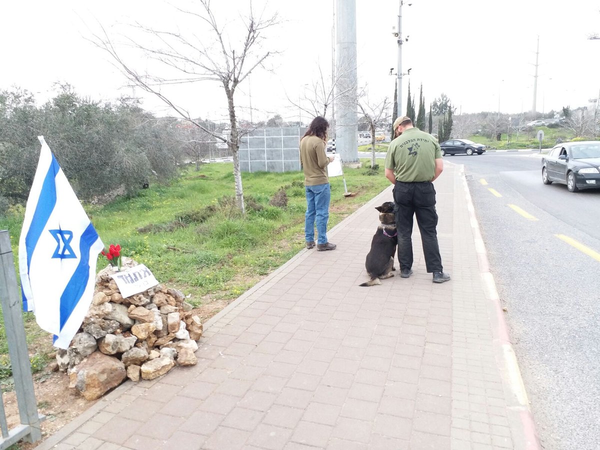 בצומת אריאל: הכלב נטרל "מחבל חמוש"