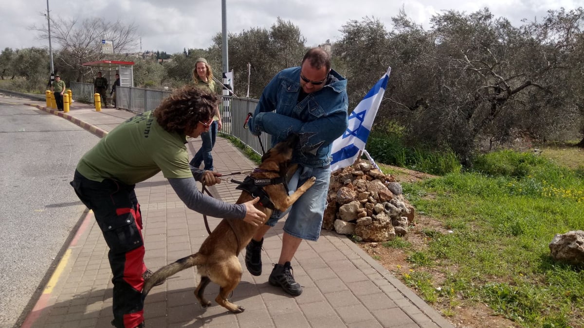 בצומת אריאל: הכלב נטרל "מחבל חמוש"