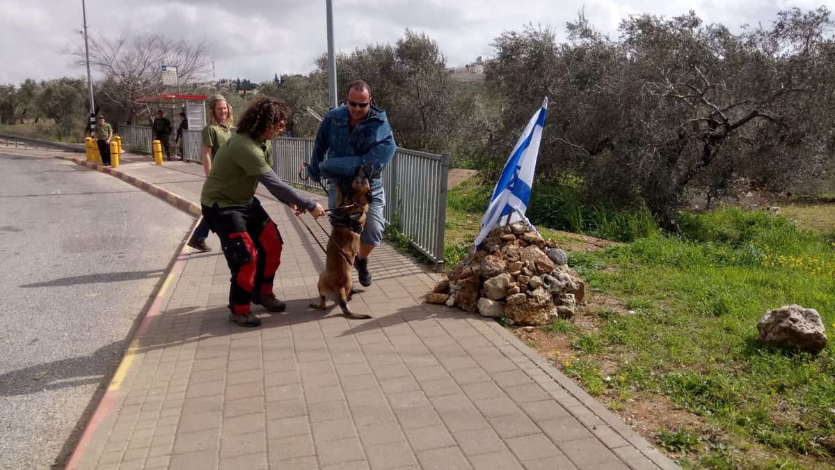 בצומת אריאל: הכלב נטרל "מחבל חמוש"