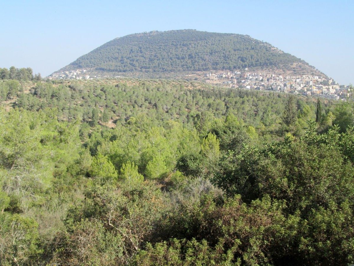 טיול מרהיב דרך עדשת המצלמה לגליל