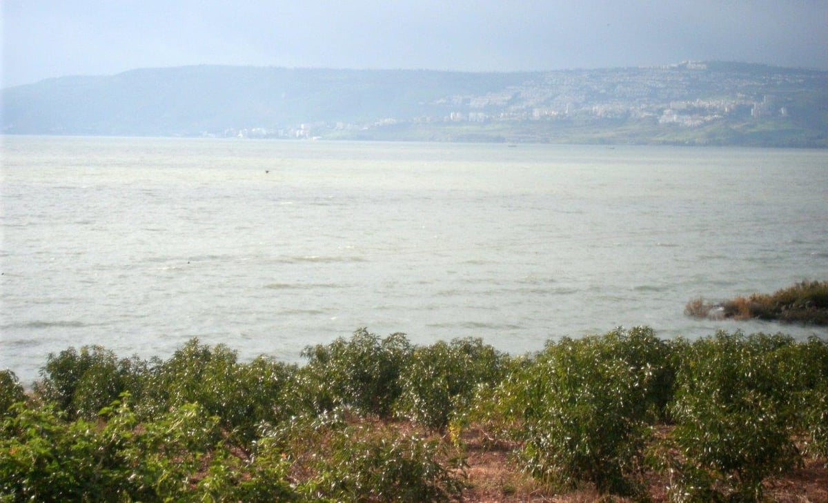 טיול מרהיב דרך עדשת המצלמה לגליל