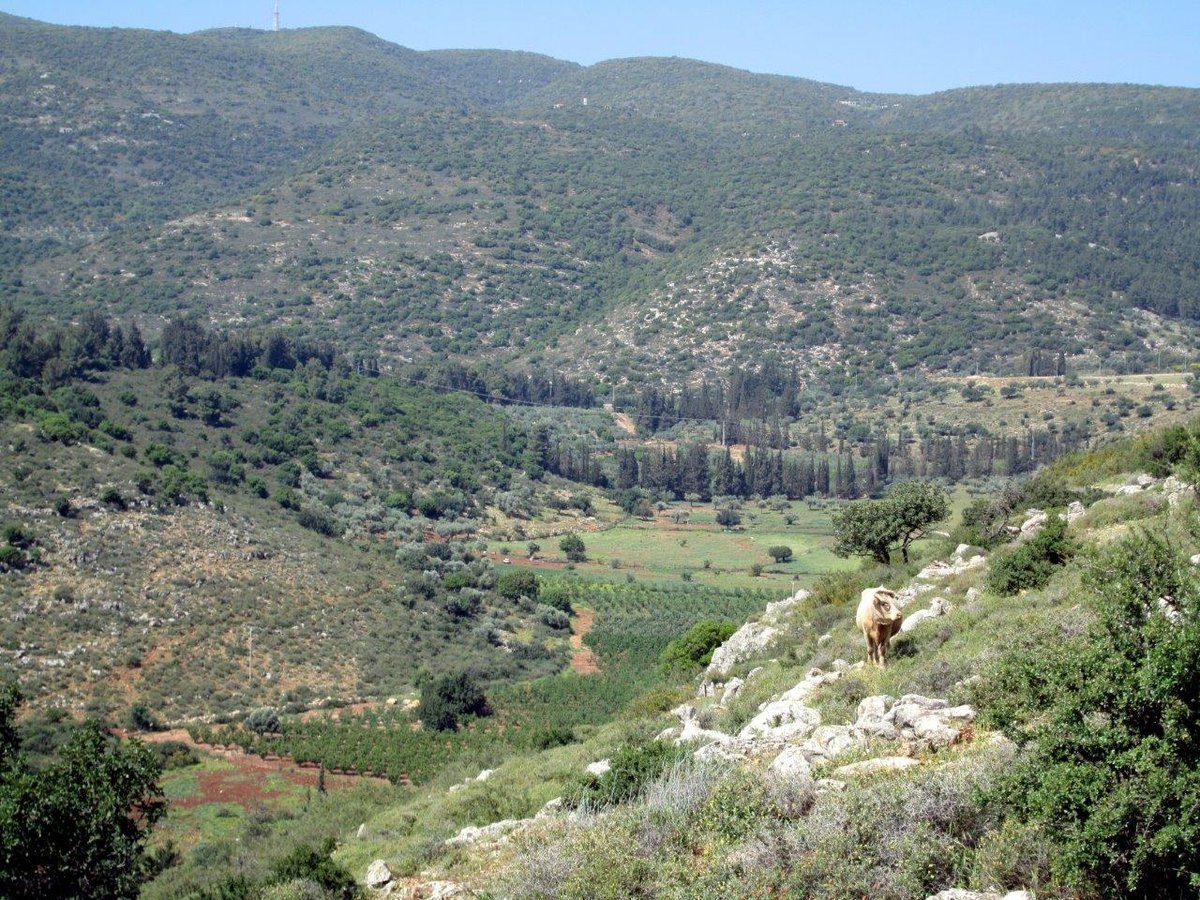 טיול מרהיב דרך עדשת המצלמה לגליל