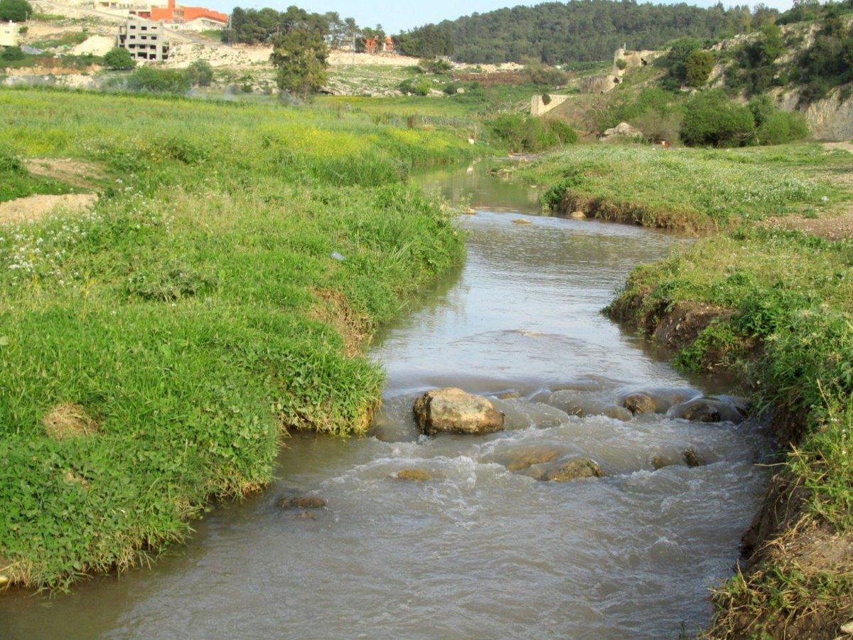 טיול מרהיב דרך עדשת המצלמה לגליל