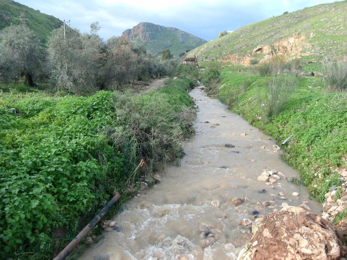 טיול מרהיב דרך עדשת המצלמה לגליל