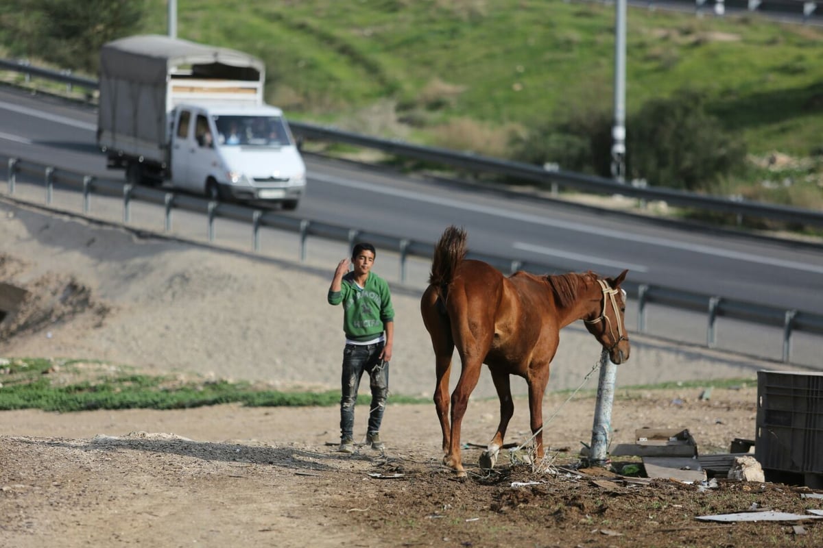 תשתיות לקויות אבל הרבה שלווה: הצצה לחיים בחמולת ג'האלין