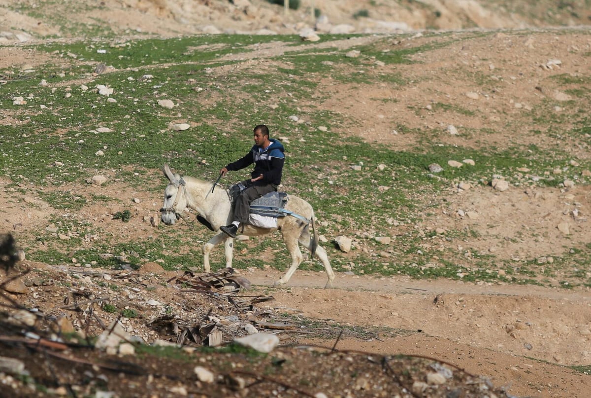 תשתיות לקויות אבל הרבה שלווה: הצצה לחיים בחמולת ג'האלין