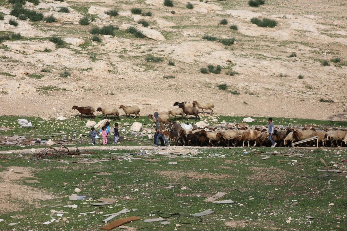 תשתיות לקויות אבל הרבה שלווה: הצצה לחיים בחמולת ג'האלין