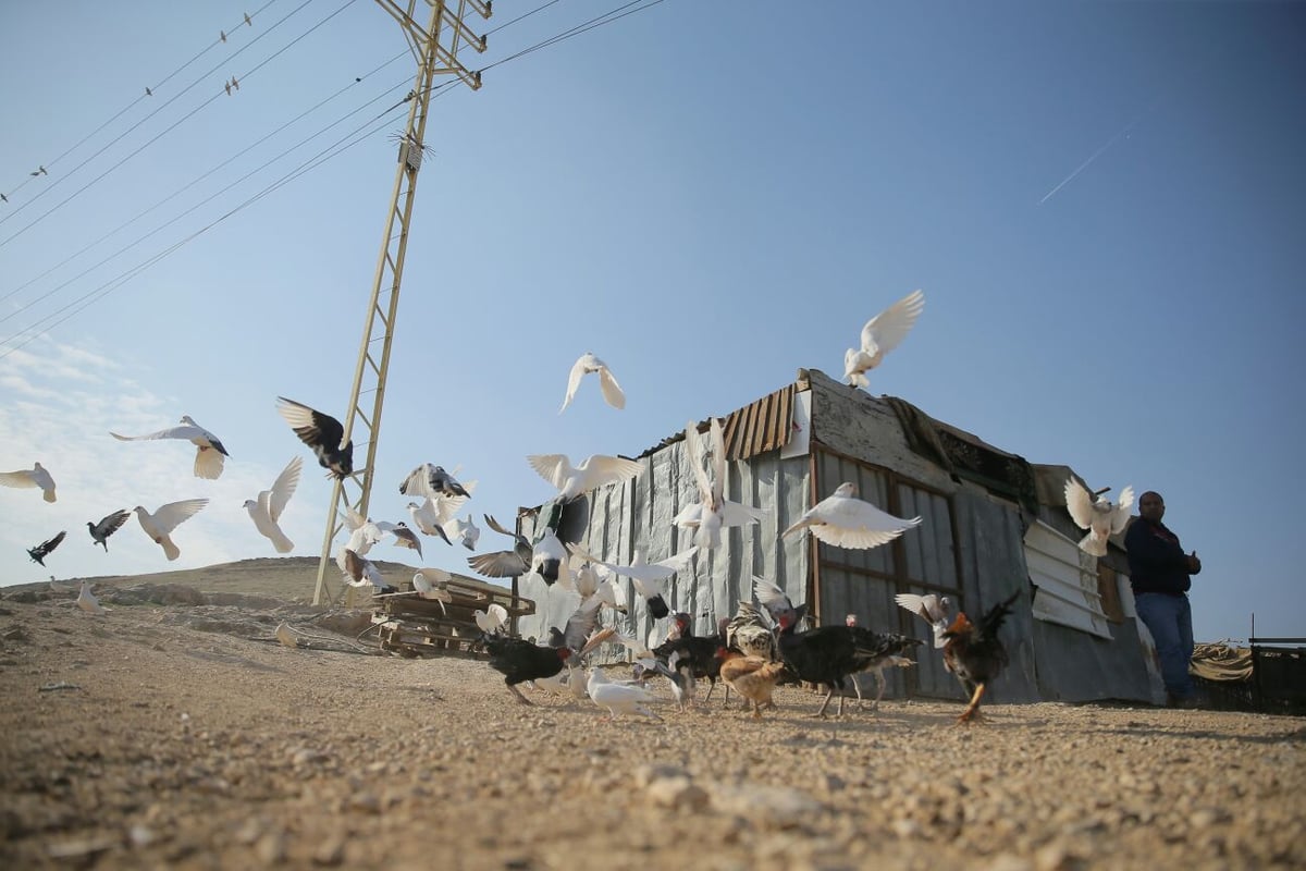 תשתיות לקויות אבל הרבה שלווה: הצצה לחיים בחמולת ג'האלין