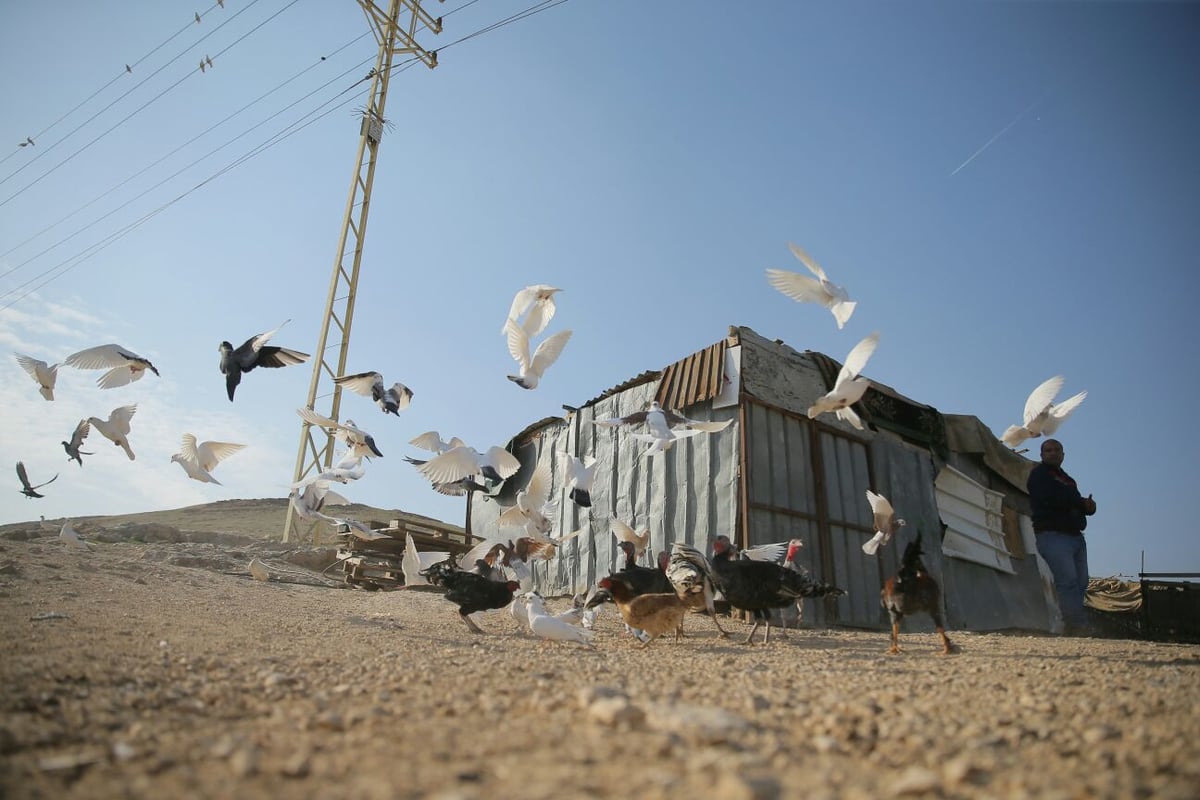 תשתיות לקויות אבל הרבה שלווה: הצצה לחיים בחמולת ג'האלין