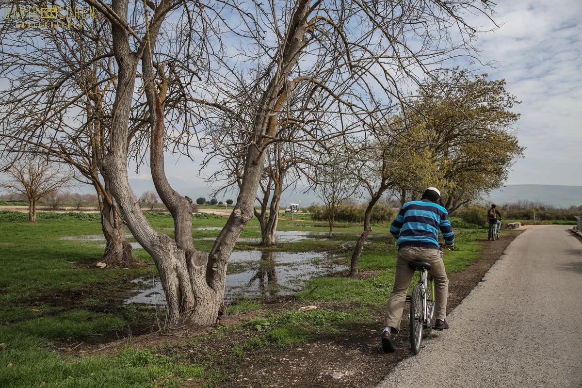 סיור מצולם באגמון החולה • צפו בגלריה