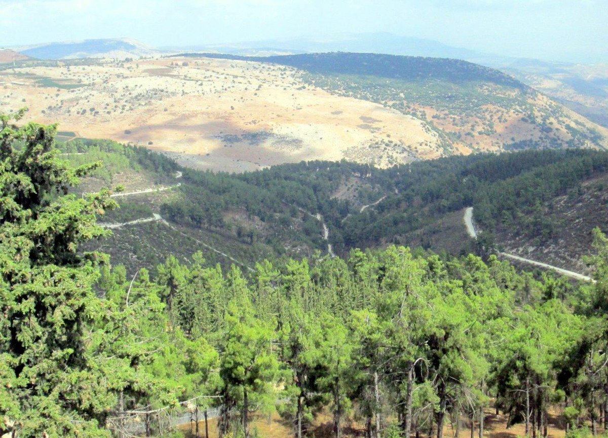 טיול לגליל המערבי והעליון דרך עדשת המצלמה