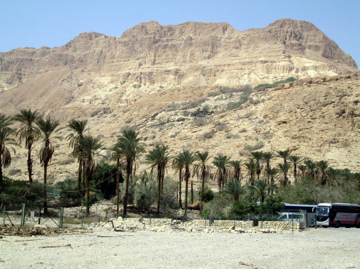 טיול דרך עדשת המצלמה לצפון מדבר יהודה