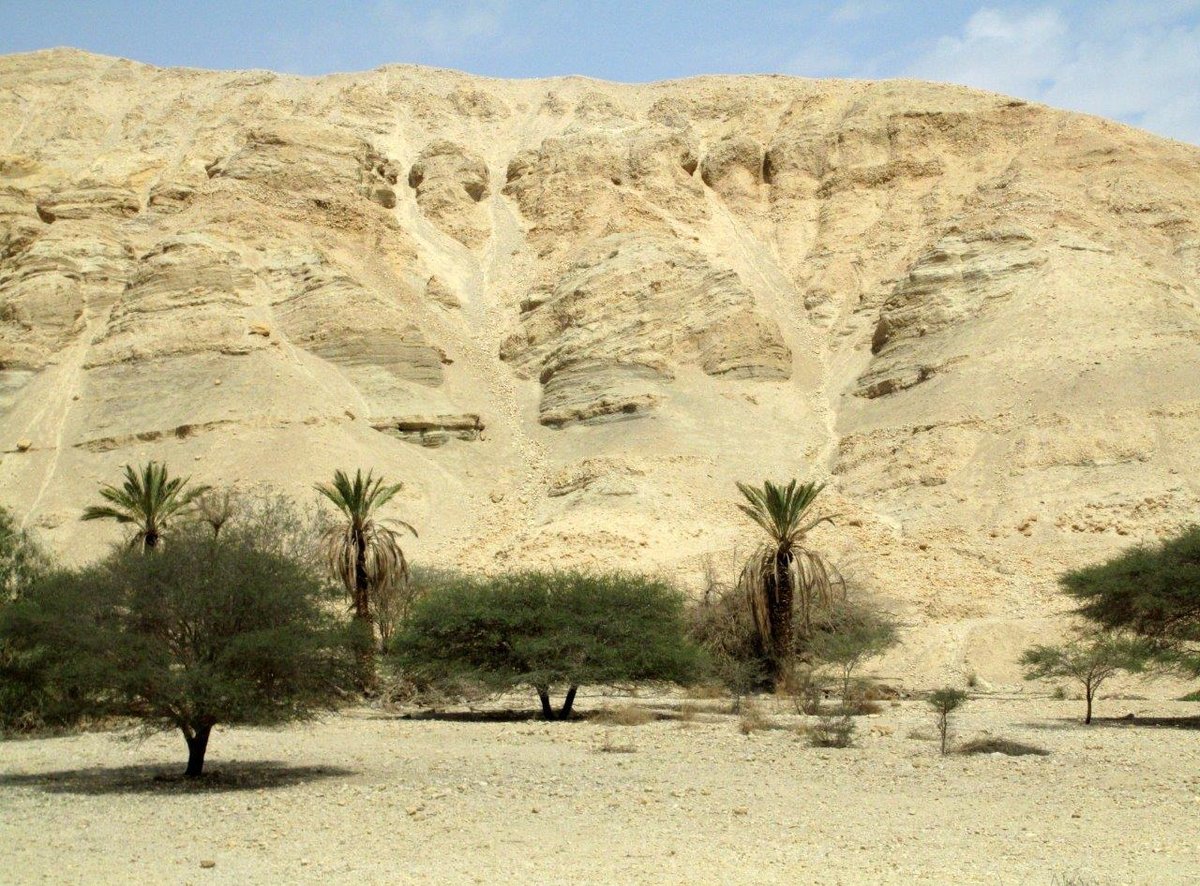 טיול דרך עדשת המצלמה לצפון מדבר יהודה