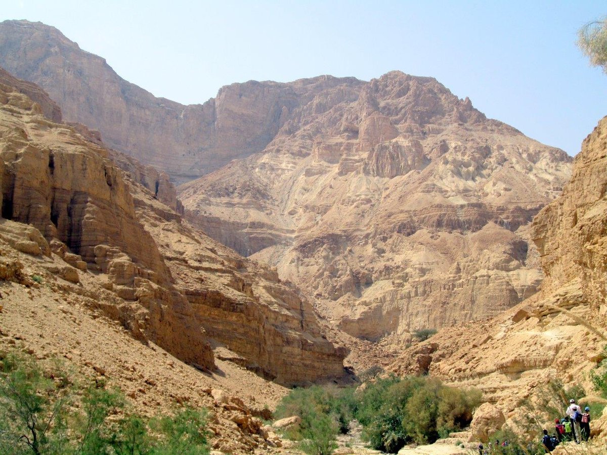 טיול דרך עדשת המצלמה לצפון מדבר יהודה