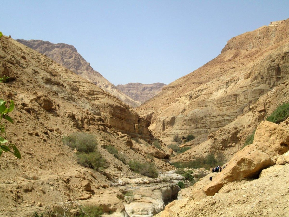 טיול דרך עדשת המצלמה לצפון מדבר יהודה