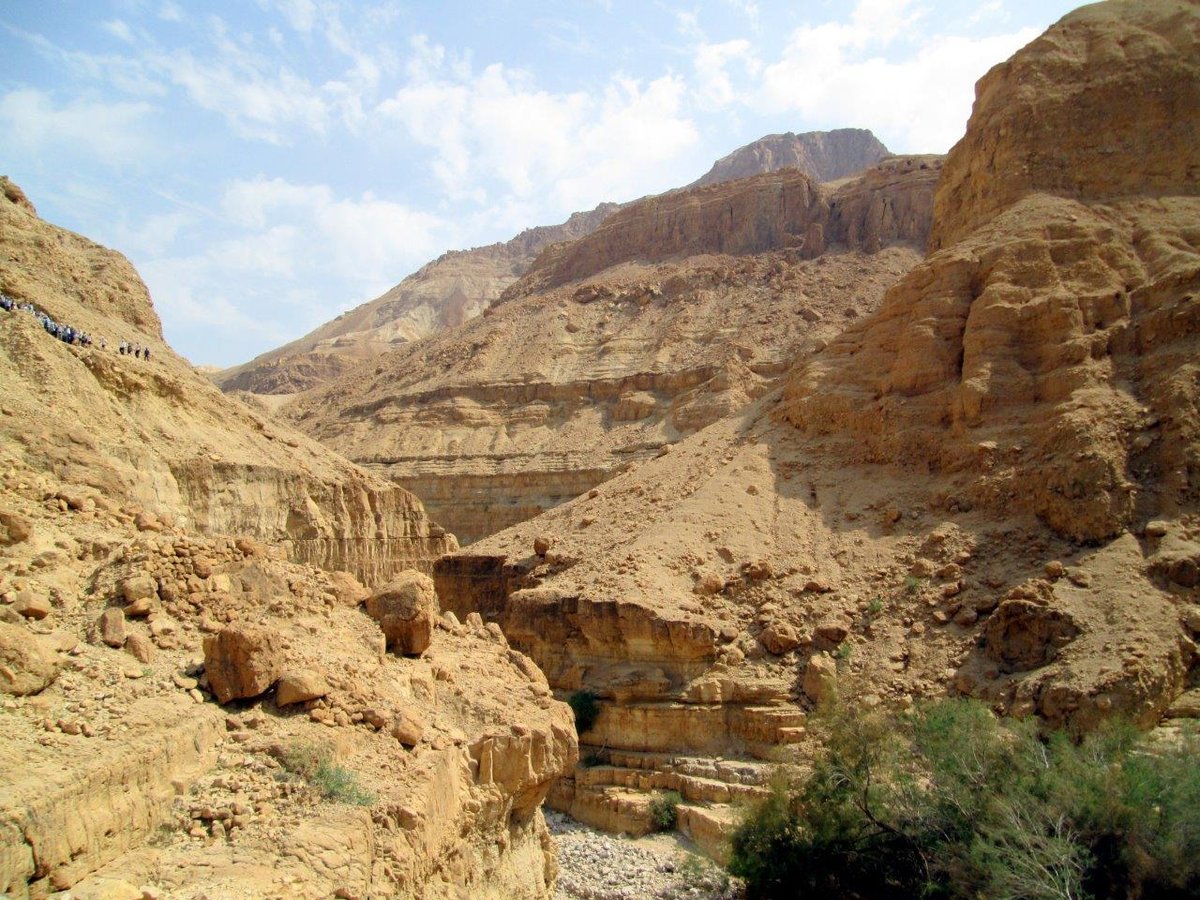 טיול דרך עדשת המצלמה לצפון מדבר יהודה