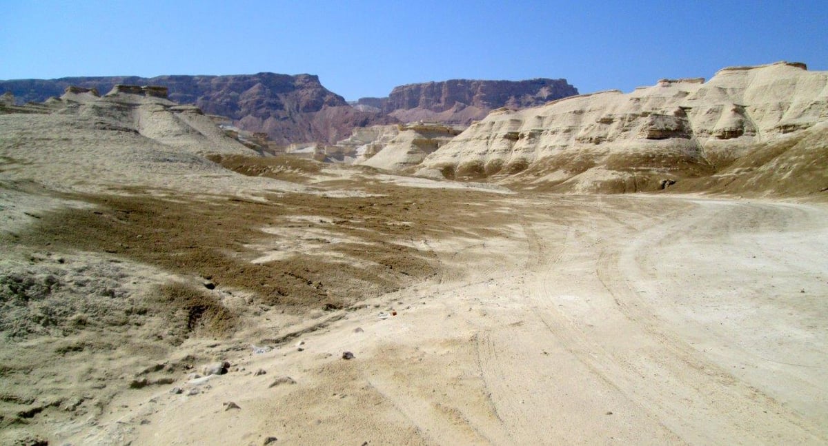 טיול למצדה ולנופי דרום מדבר יהודה • גלריה