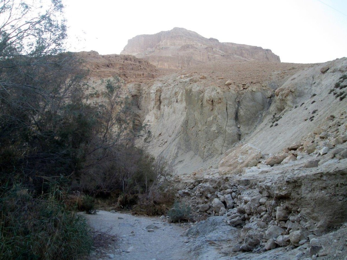 טיול למצדה ולנופי דרום מדבר יהודה • גלריה