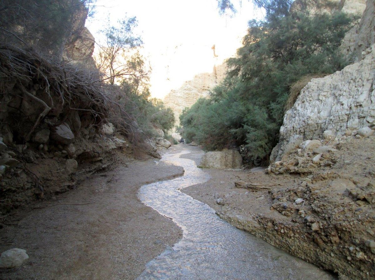 טיול למצדה ולנופי דרום מדבר יהודה • גלריה