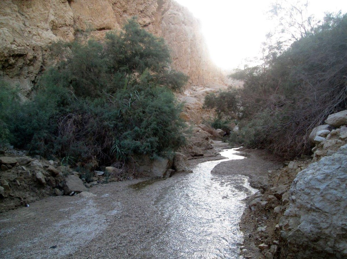 טיול למצדה ולנופי דרום מדבר יהודה • גלריה