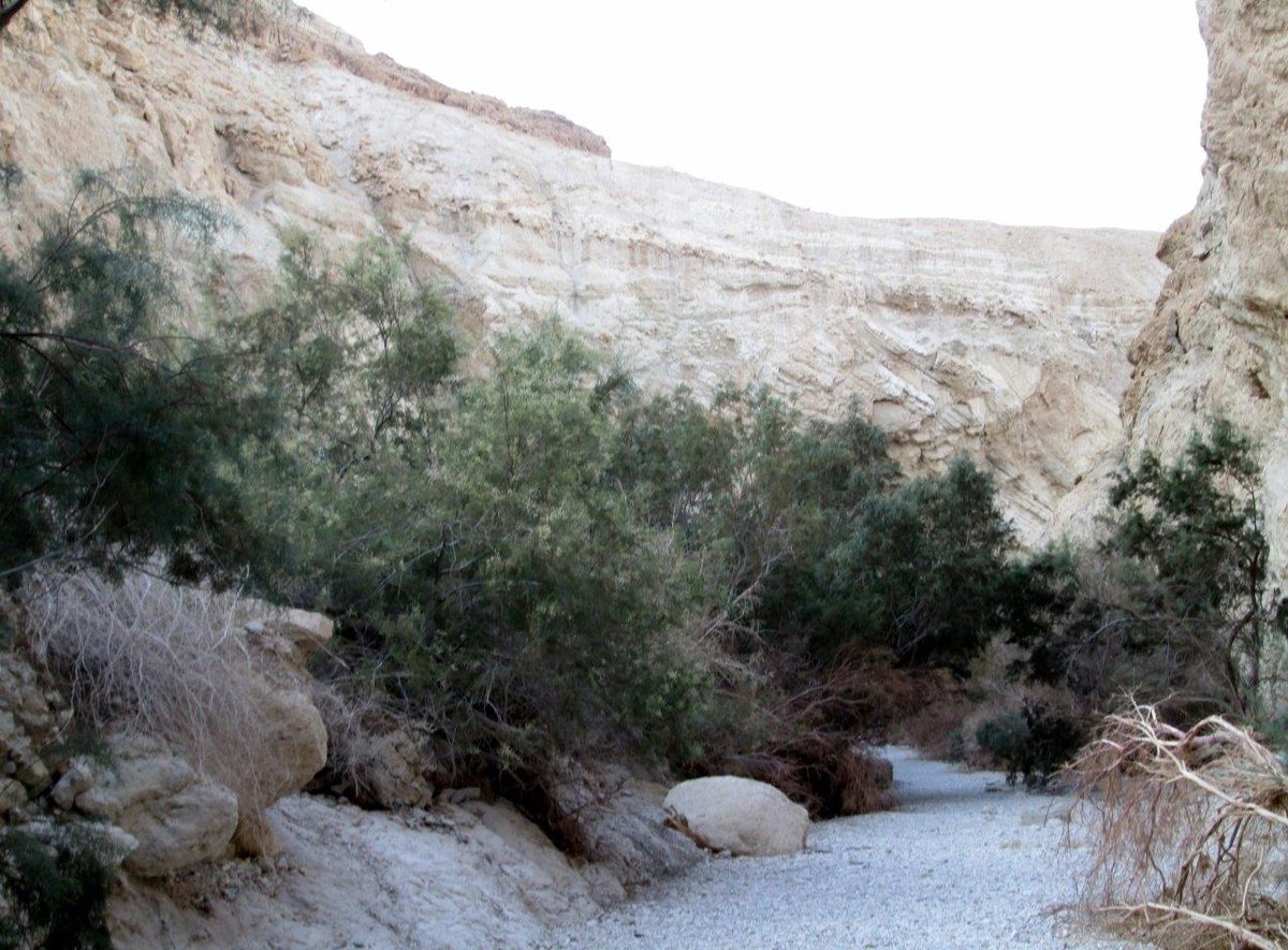 טיול למצדה ולנופי דרום מדבר יהודה • גלריה