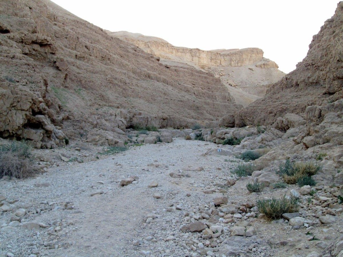 טיול למצדה ולנופי דרום מדבר יהודה • גלריה