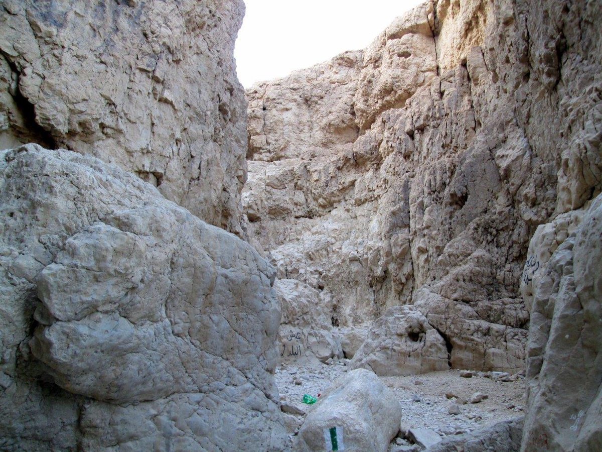 טיול למצדה ולנופי דרום מדבר יהודה • גלריה