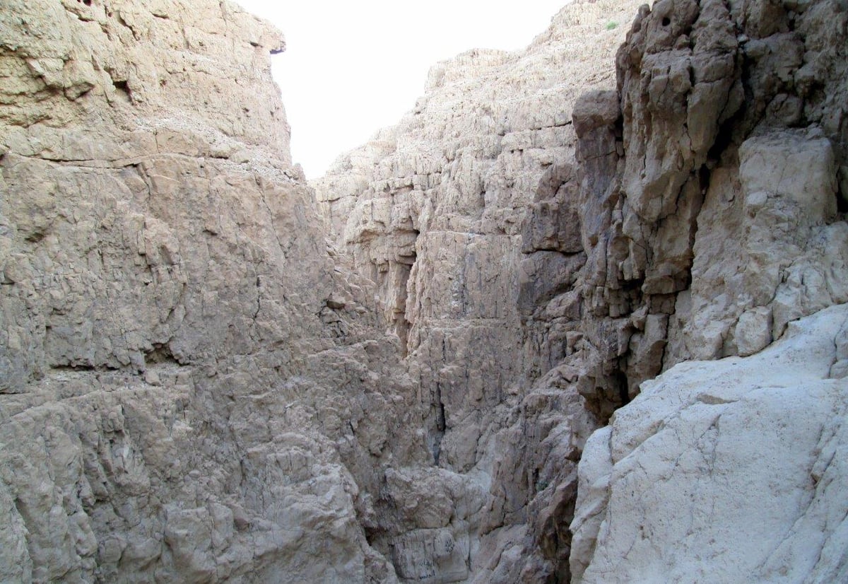 טיול למצדה ולנופי דרום מדבר יהודה • גלריה