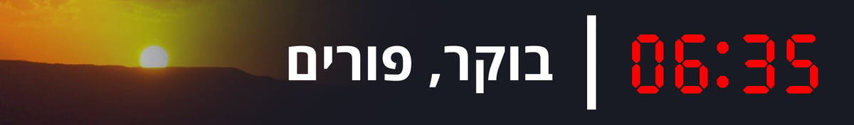 12 שעות, שנור ואלכוהול: זה הלו"ז של הת"תניקים בפורים