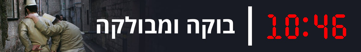 12 שעות, שנור ואלכוהול: זה הלו"ז של הת"תניקים בפורים