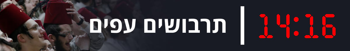 12 שעות, שנור ואלכוהול: זה הלו"ז של הת"תניקים בפורים