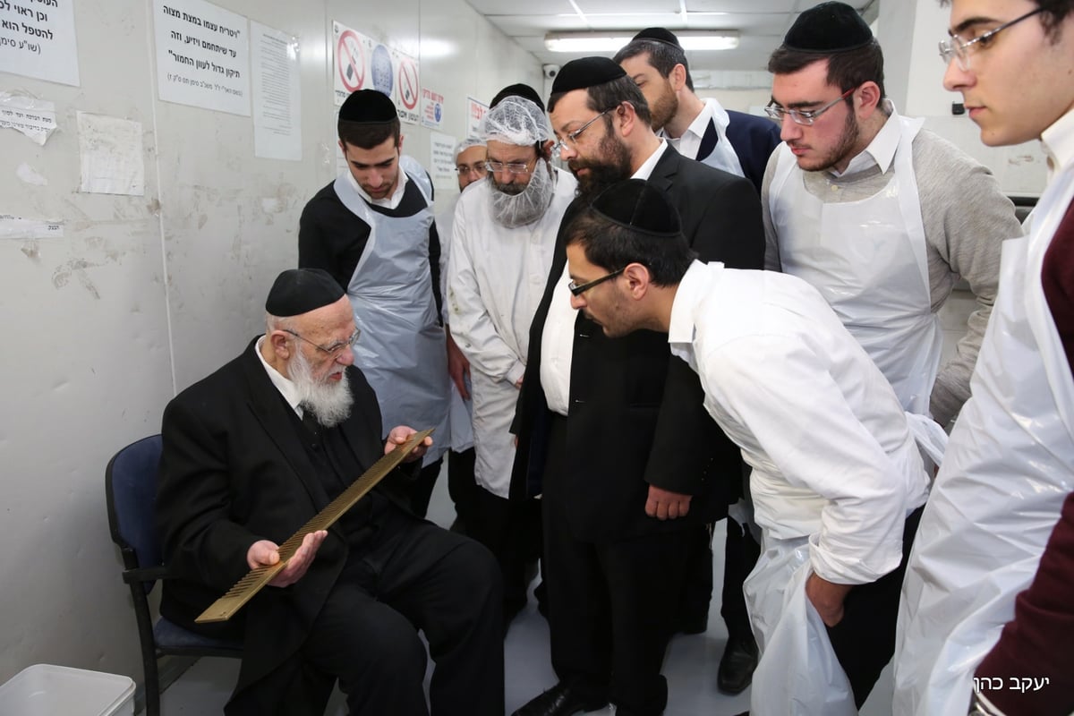 ערב הנסיעה למקסיקו: נשיא המועצת אפה מצות