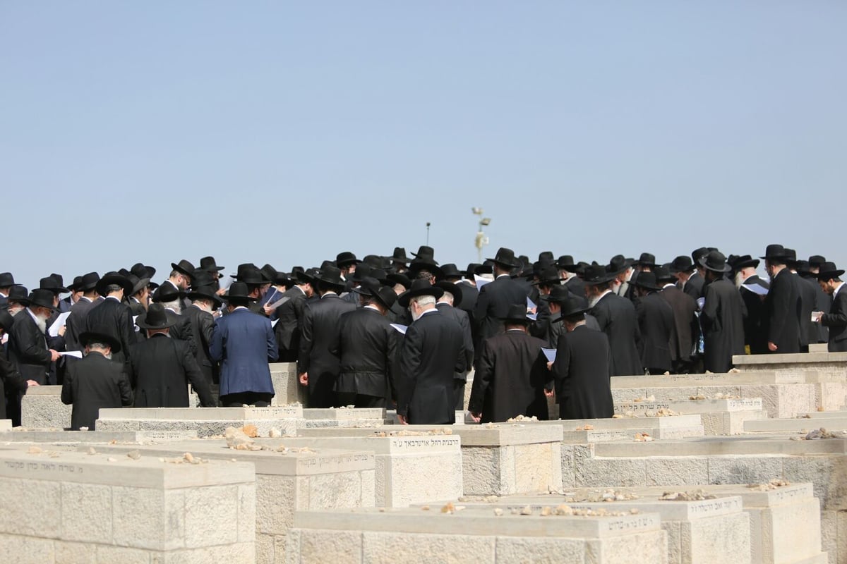 לאחר ה'שבעה'; "מועצת רבני בני תורה" תתכנס לראשונה