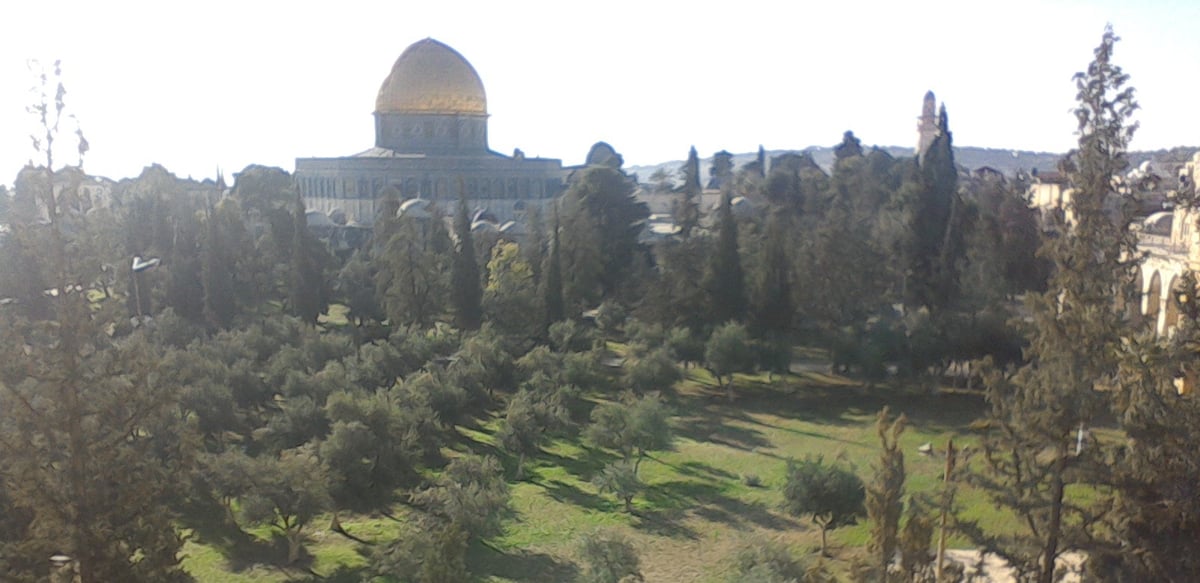 הר הבית כפי שנשקף מהמקום ממנו צפו הבחורים