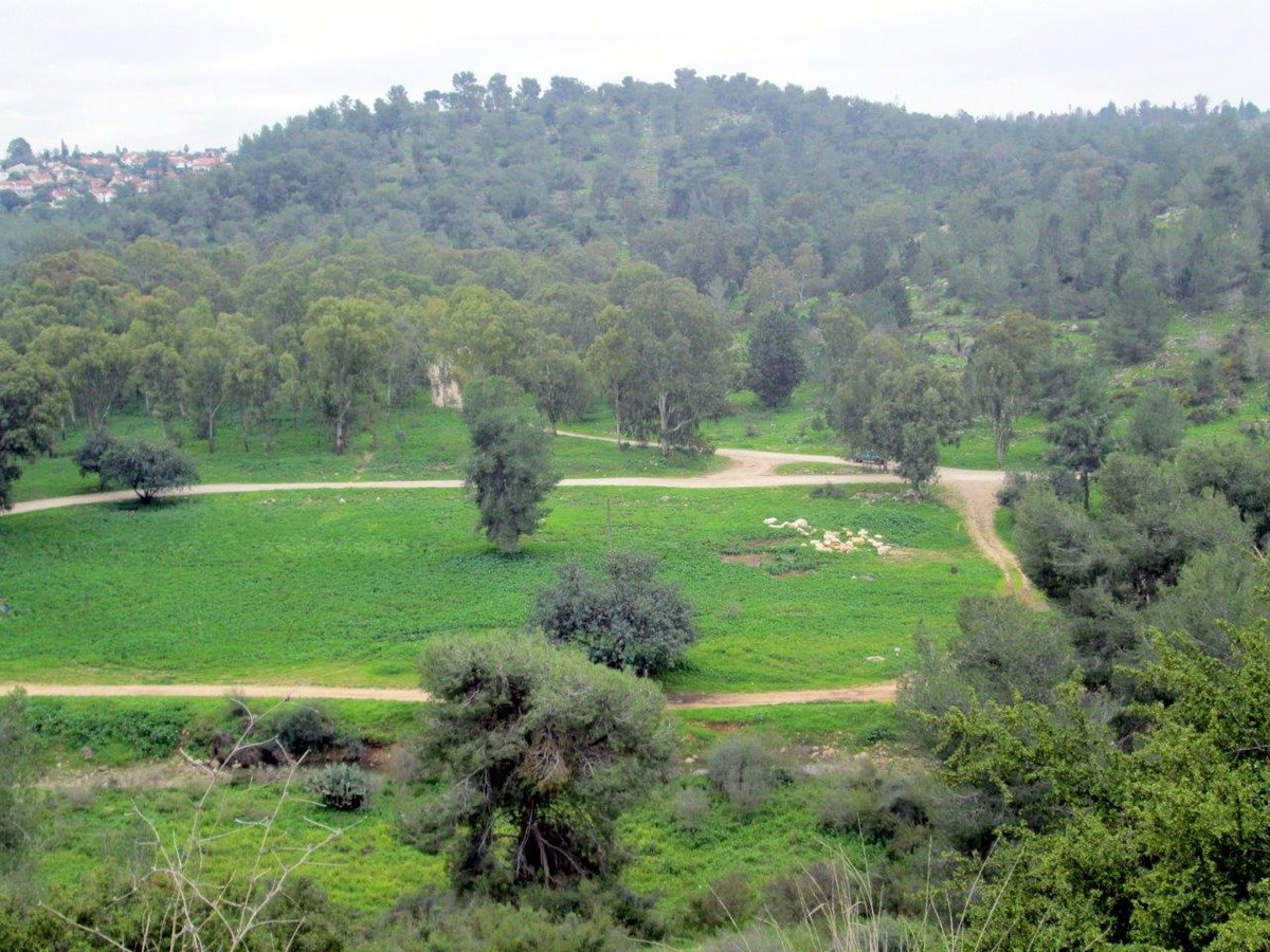 סיור דרך עדשת המצלמה לנופי השרון